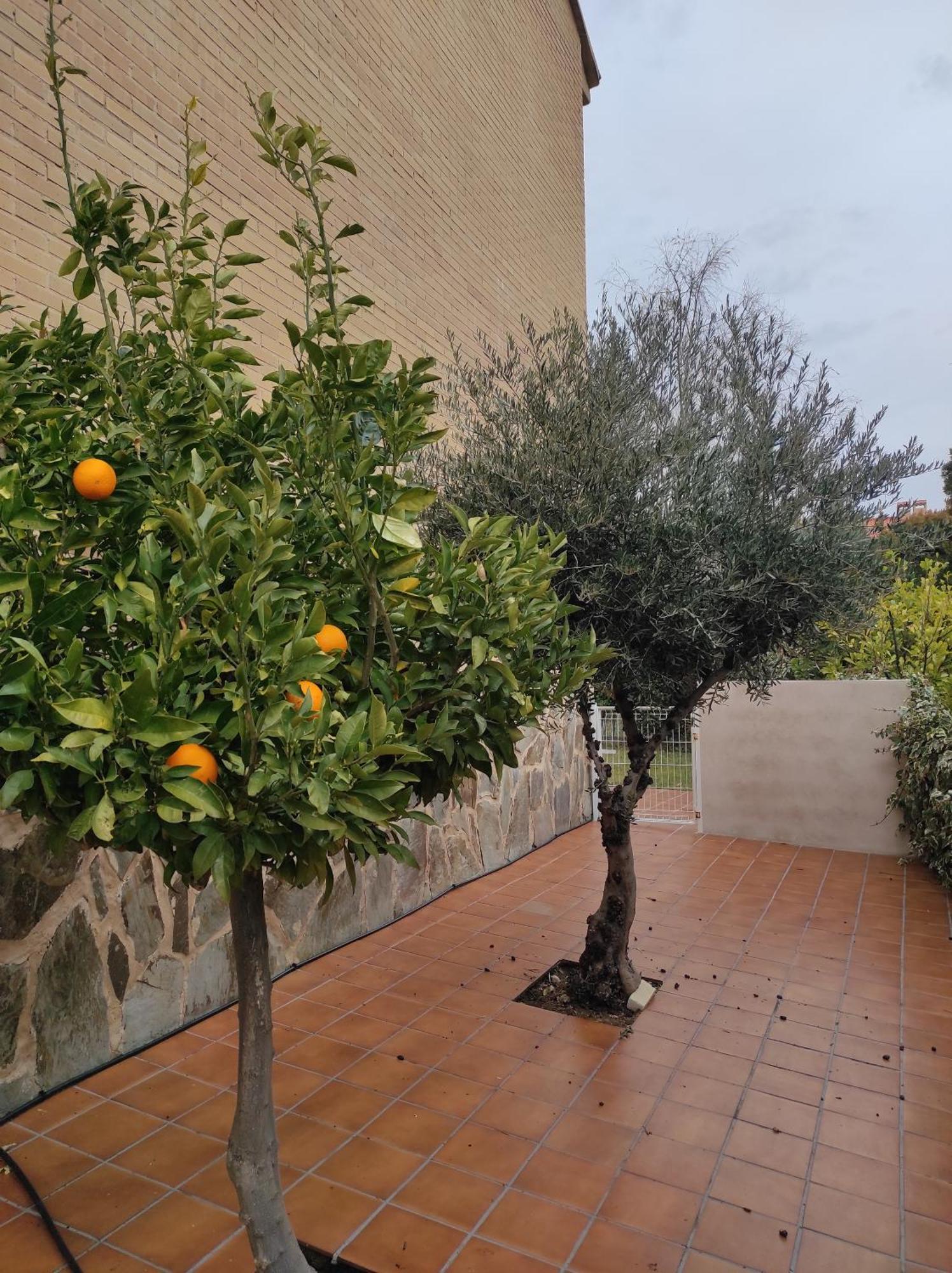 Casa Con Jardin Entre Y Puy Du Fou Hébergement de vacances