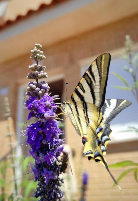 Casa Con Jardin Entre Y Puy Du Fou * Toledo